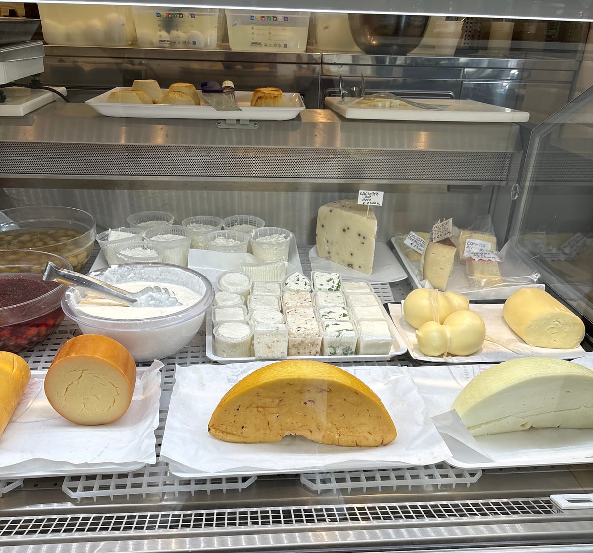Il banco frigo del caseificio con mozzarelle, ricottine e caciotte sui vassoi