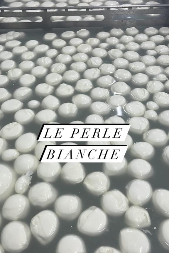 Decine di mozzarelle bianche galleggiano nell'acqua di governo, con la scritta del loro post «Le perle bianche»