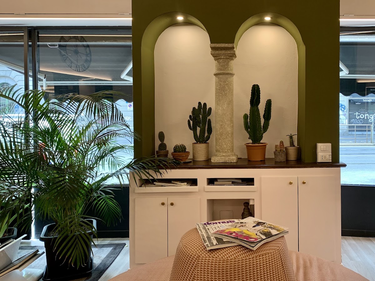 Nicchie ad arco verdi con colonna e cactus
