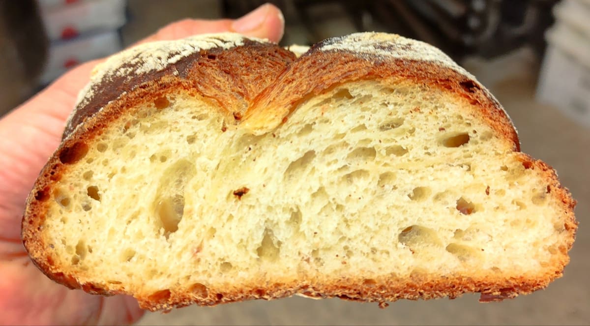 Una pagnotta tagliata a metà tenuta in mano: la mollica bianca con gli alveoli e la crosta dorata.