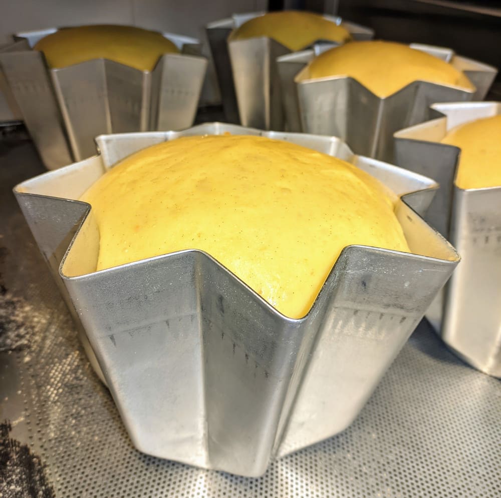 L'impasto giallo del pandoro che lievita negli stampi a stella.
