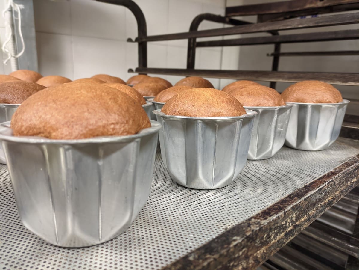 Panettoni che lievitano negli stampi d'alluminio, sul carrello del laboratorio.