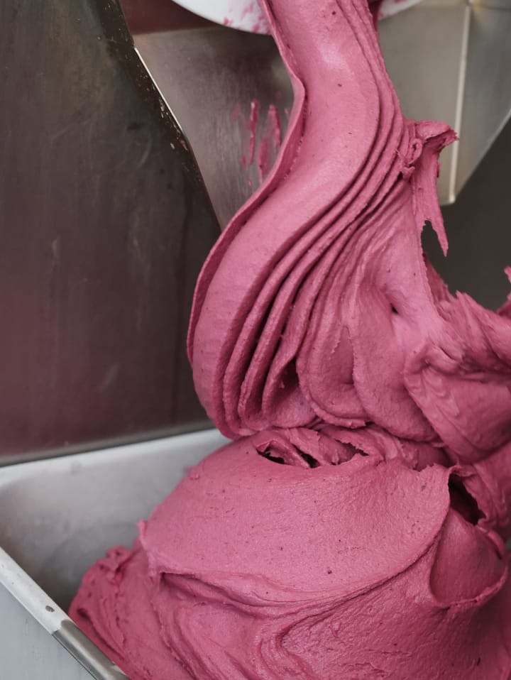 L'uva fragolina che esce a nastro dalla mantecatrice e si piega nella vaschetta.