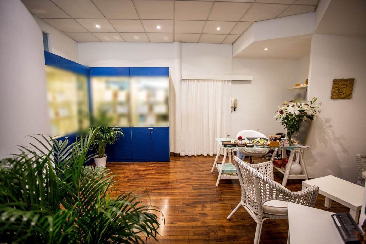L'ingresso: le vetrine blu, le palme, le poltroncine di vimini bianche, il parquet scuro.