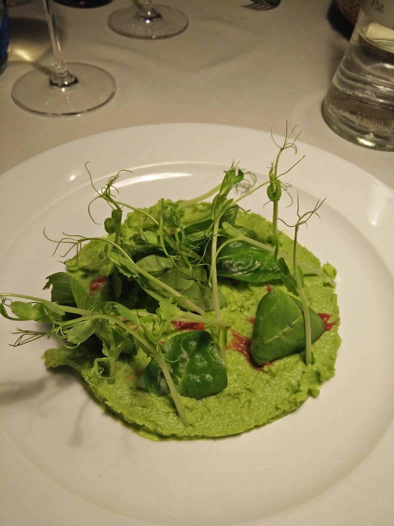 Piatto creativo con crema verde e germogli