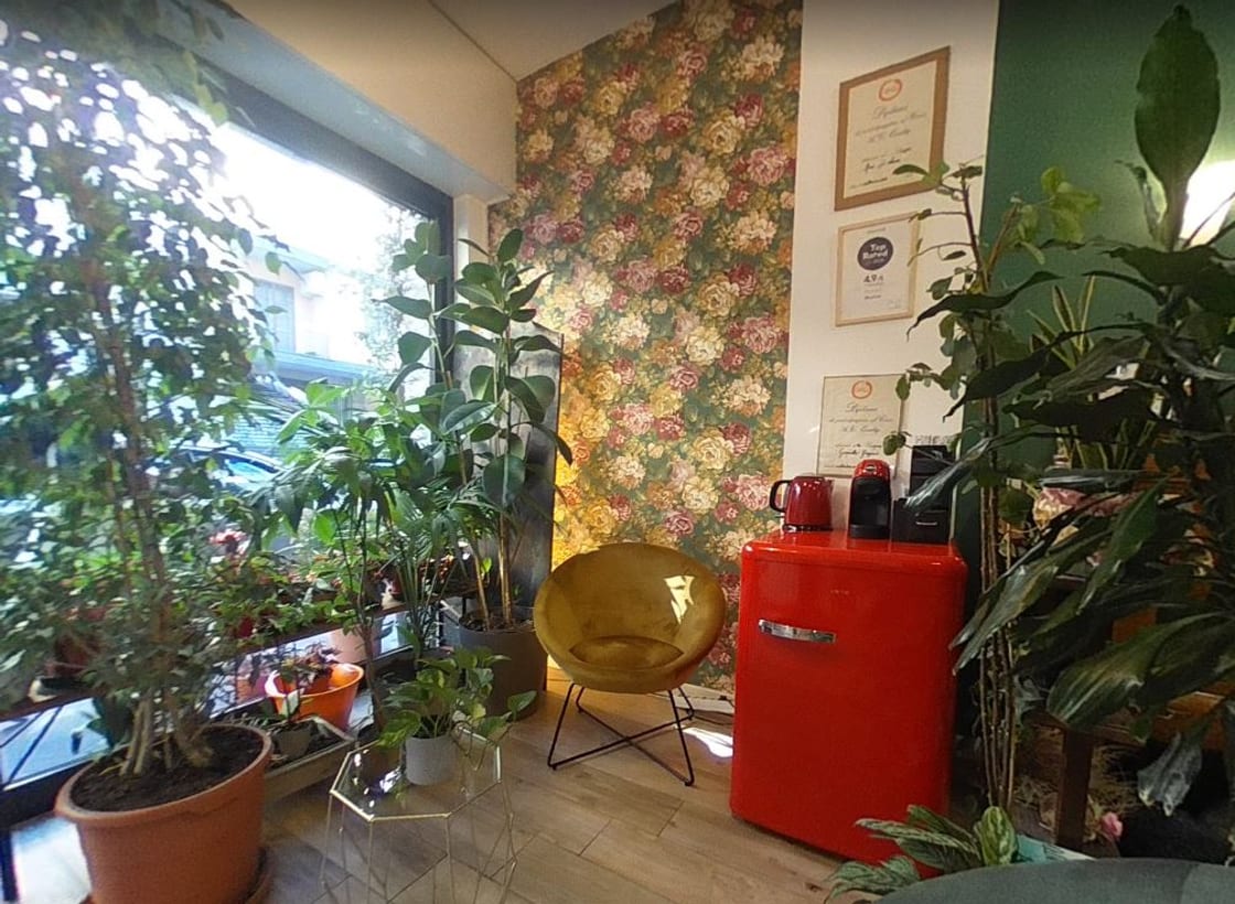 L'angolo relax di Moda & Arte, con le piante e la poltrona gialla