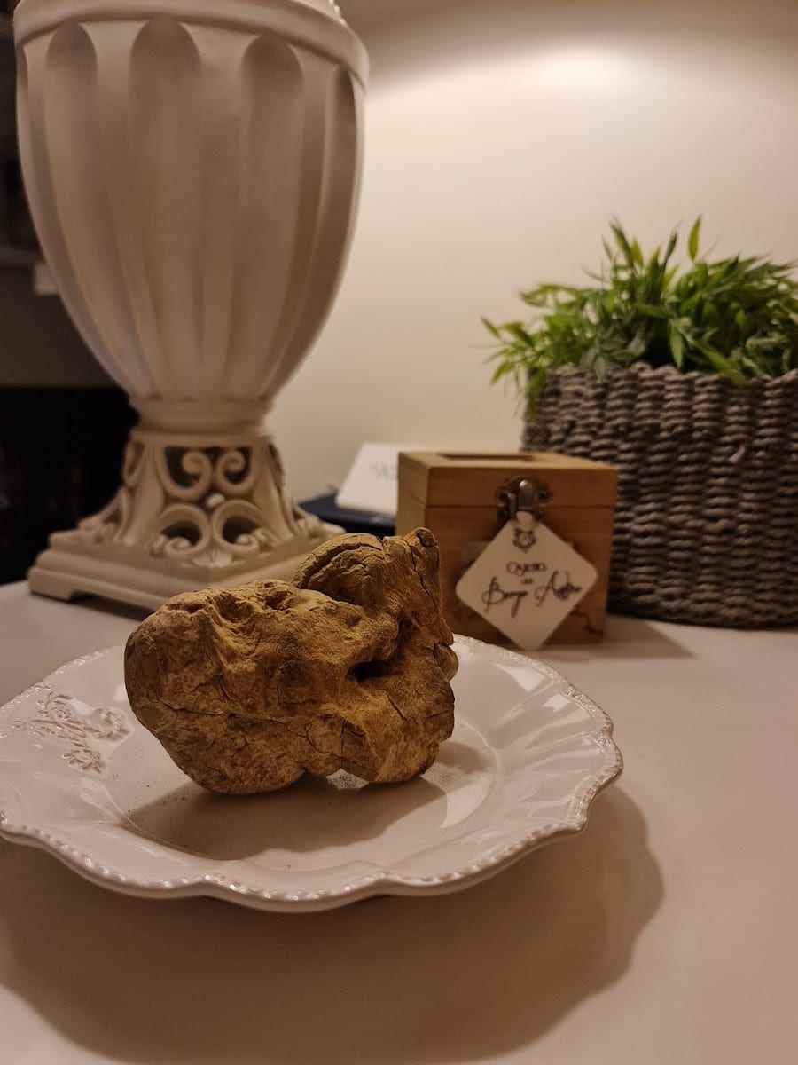 Il tartufo