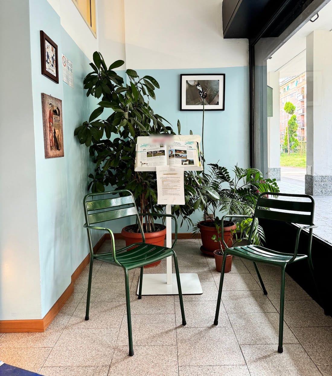 La sala d'attesa: la parete azzurra e bianca, due sedie di metallo verdi, le piante nei vasi di terracotta, un leggio con un libro aperto, un manifesto antico con gatti e cani.