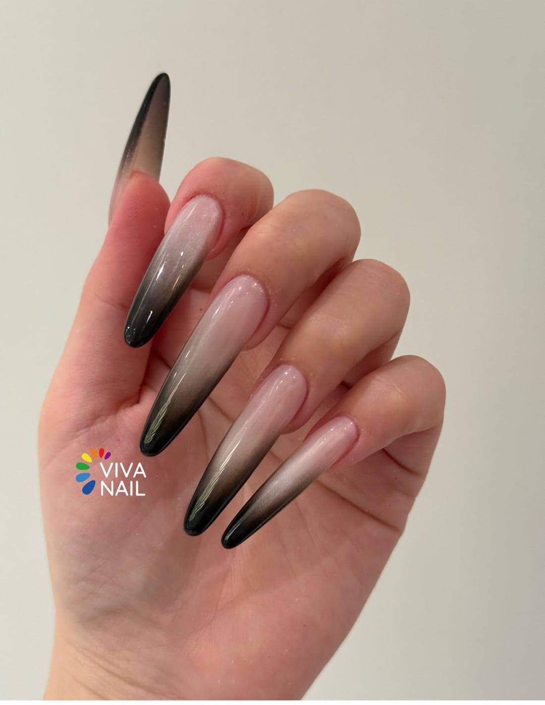Stiletto lunghe, sfumate dal nude al nero sulla punta
